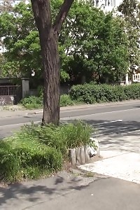 Delightful Hottie Pissing In Public On Busy Road