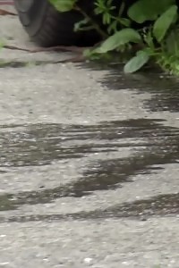 Brunette Queen Pissing Next To A Busy Road Outside