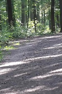 Daisy Lee Holds Her Tunnel While Pissing Outside