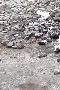 Black Haired Slut Pisses Behind A Parked Vehicle