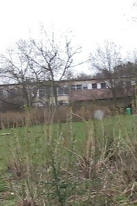 Brunette Lady Pisses On A Public Path