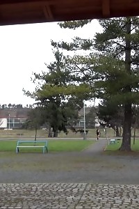 Filthy Black-haired Slut Pissing In A Public Park