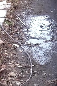 Brunette Slut Squats Near A Car To Pee Outside