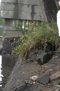 Brunette Bitch Pisses Next To A Flowing River