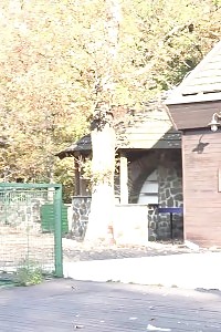 Dazzling Dark Haired Doll Pisses Over The Decking