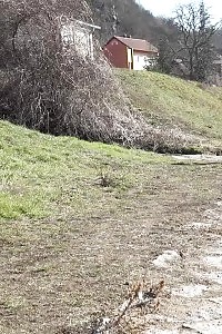 Vinna Reed Pisses Near The Riverside