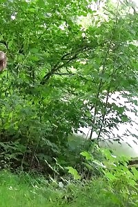 Lovely Black-haired Pisses Next To The Riverside