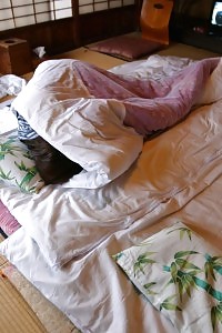 Fascinating Asian Goddess Takes Off Her Undie And Displays Her Captivating Boobs And Pussy