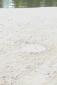 Lexi Dona Needs To Piss While Driving Outside