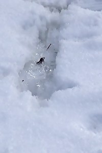 Breathtaking Blonde In Tight Apparel Pees In The Snow