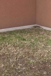 Brunette Lady Is So Desperate To Piss Outside