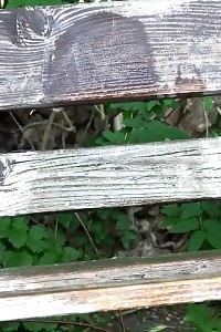Astonishing Brunette Cant Stop Pissing On A Bench