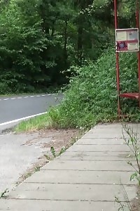 Marvelous Brunette Pissing Next To A Bus Stop